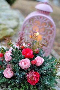 Roses heart cemetery