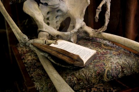 Bones reading book read photo