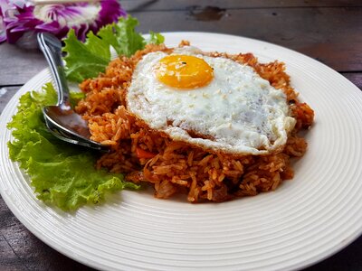 Dish rise catering