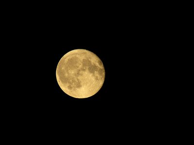 Harvest moon night sky