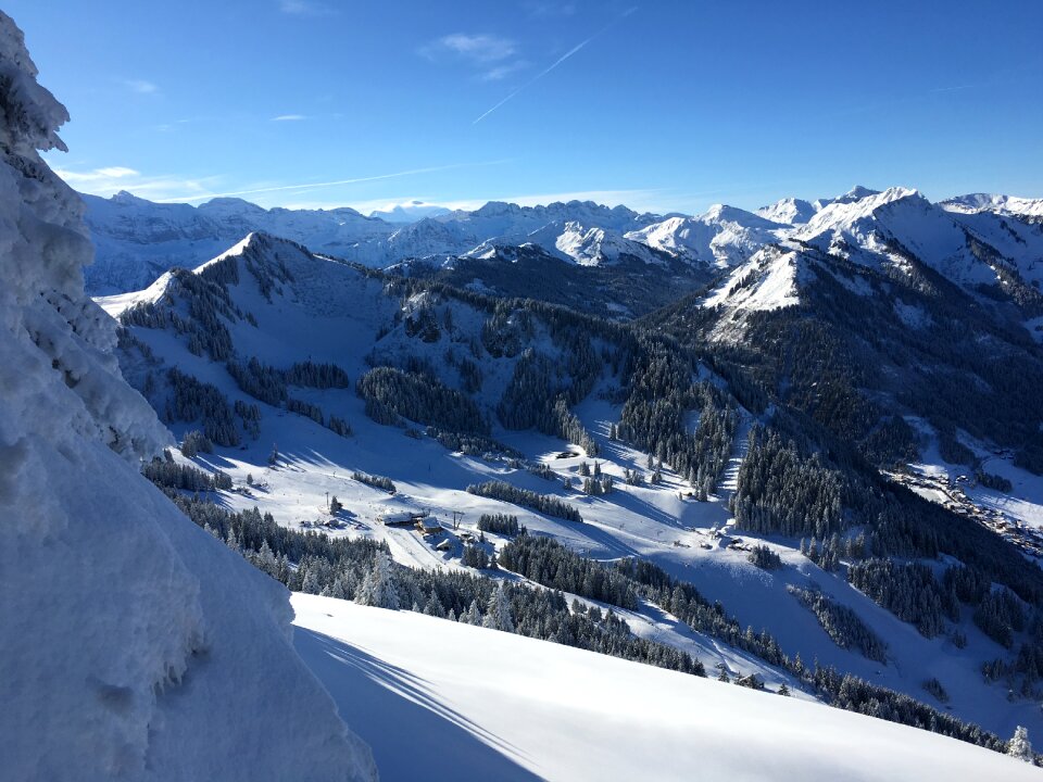 Alpine snow alps