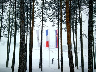 Flags snow winter