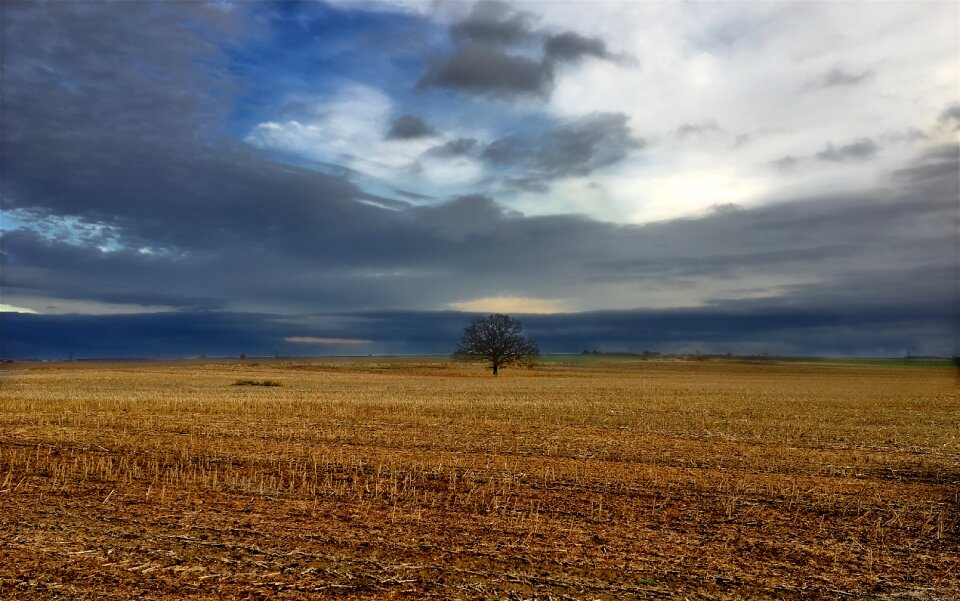 Nature landscape natural