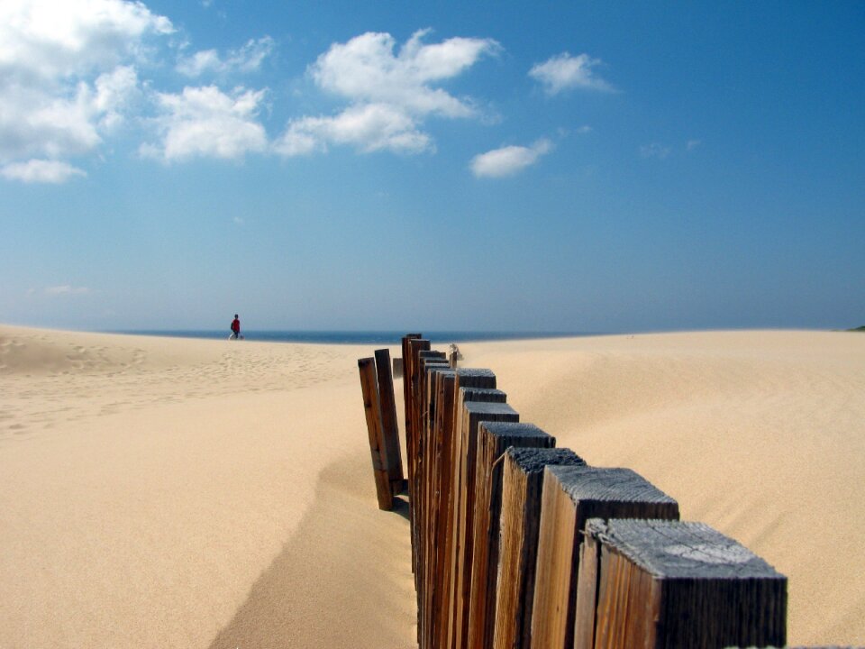 Cadiz wood coast of light