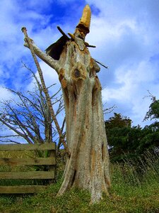 Wood carving wizard photo