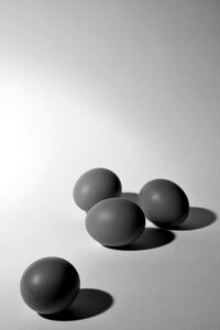Eggs group system