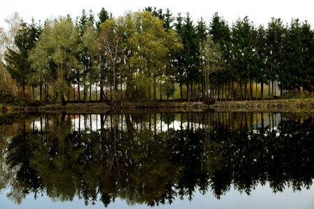 Landscape green water