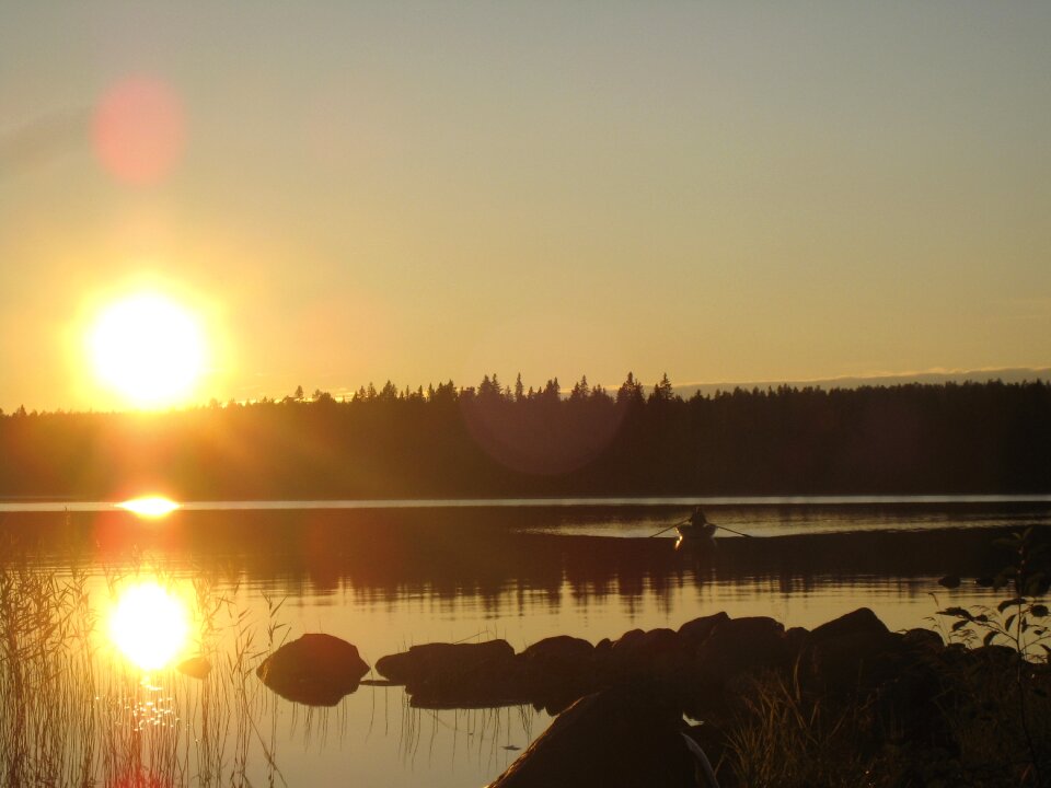 Commodity swamp sunset solar