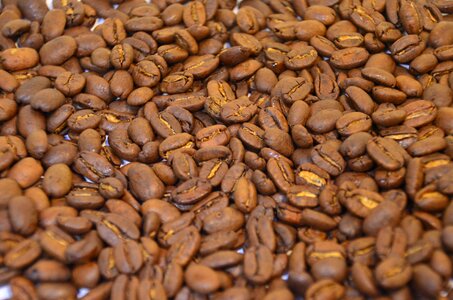 Black brewing brown cappuccino