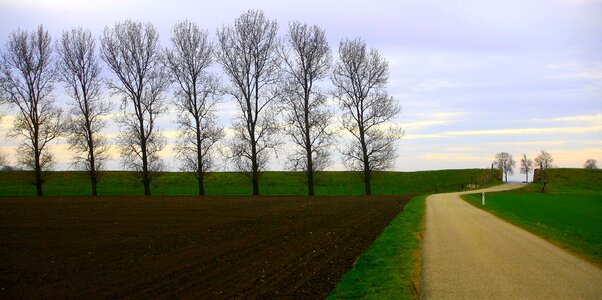 Field road countryside