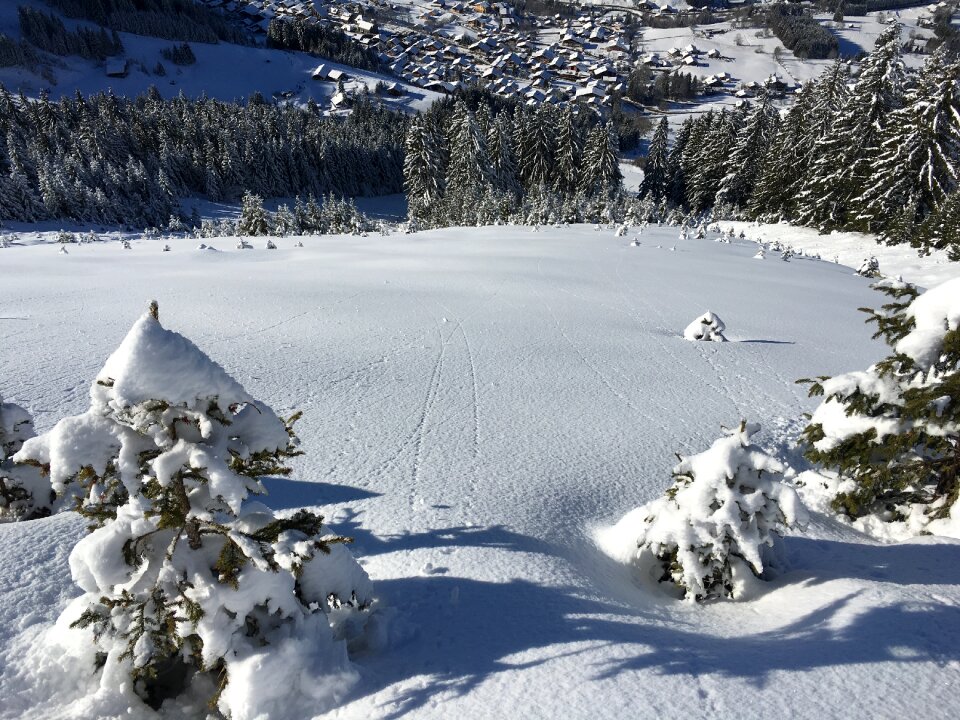 Alpine snow alps