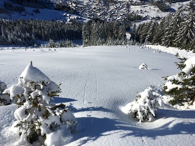 Alpine snow alps