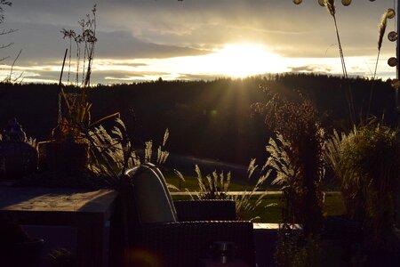 Dried plants backlighting clouds
