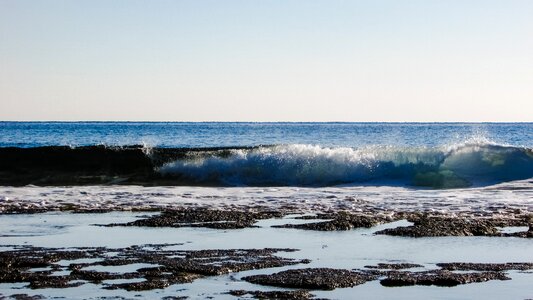 Beach nature white photo