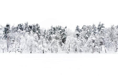 White nature environmental