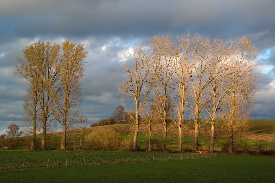 Idyll autumn light autumn