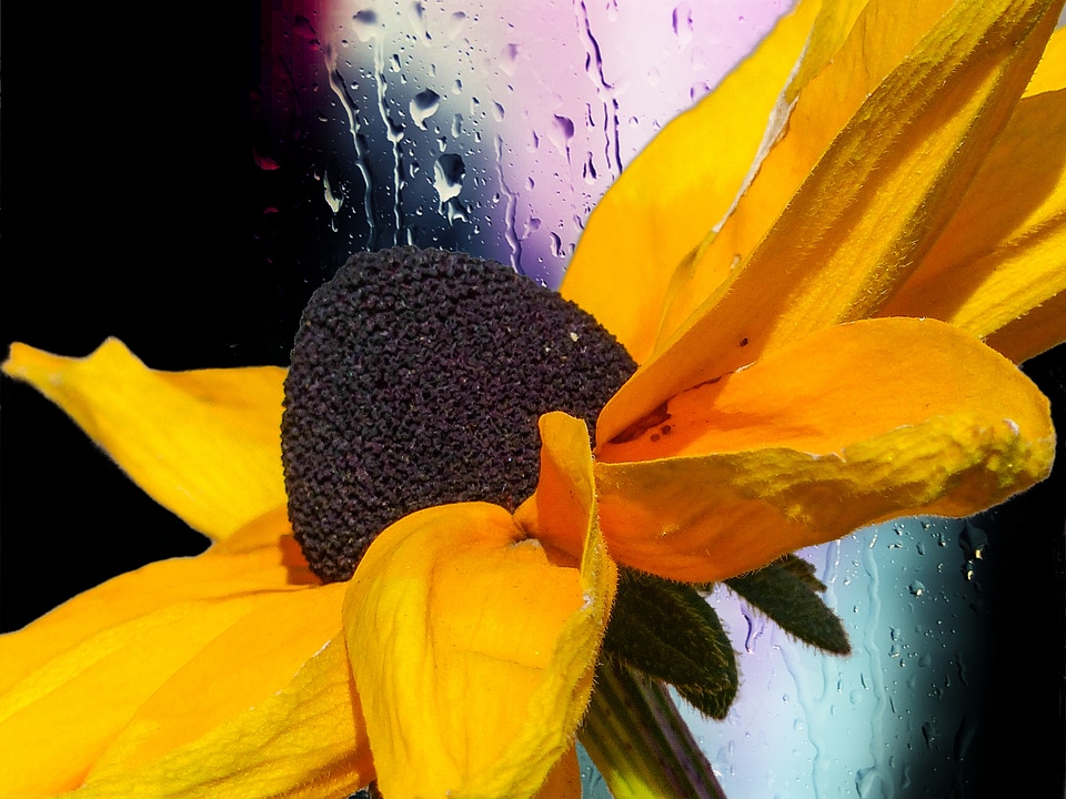 Yellow digital background
