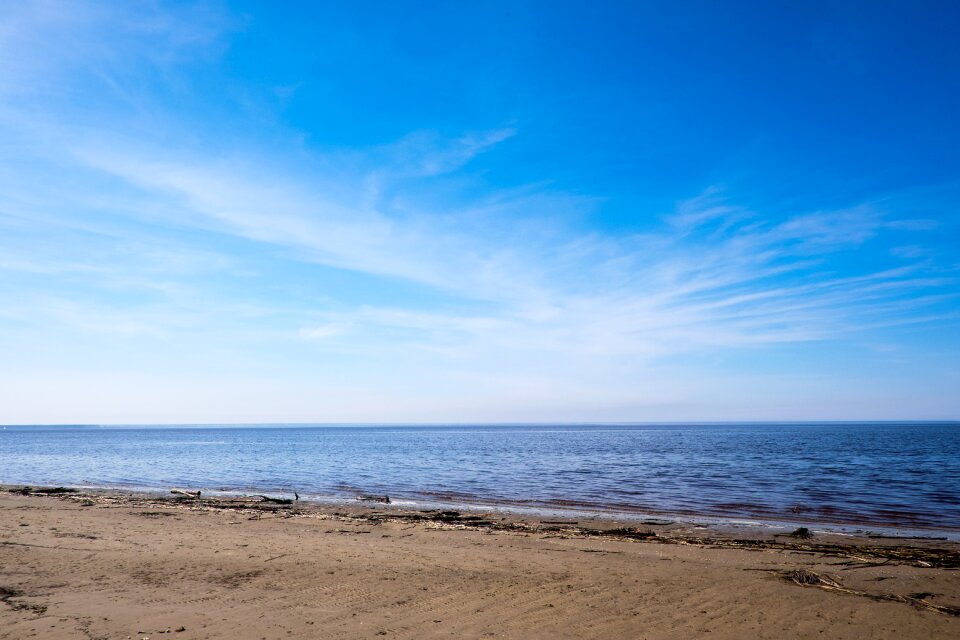 Blue beach dawn