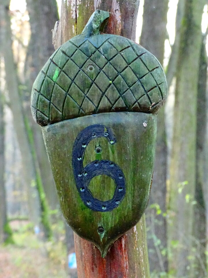 Warning forest path