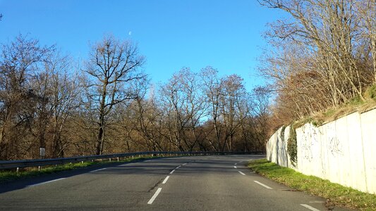 Tree landscape path
