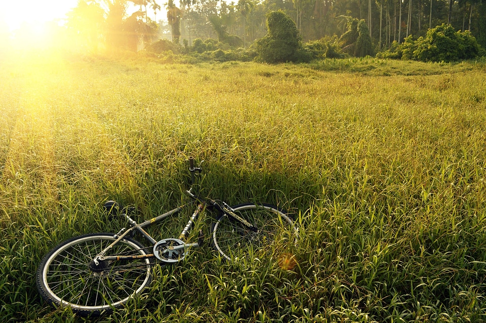 Mtb biking mountain bike