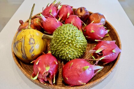 Exotic fruit bowl photo