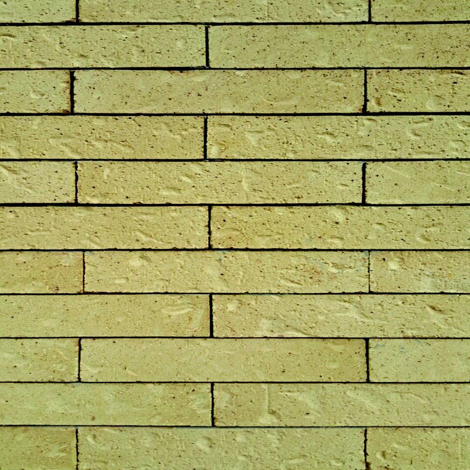 Brick wall maps wall