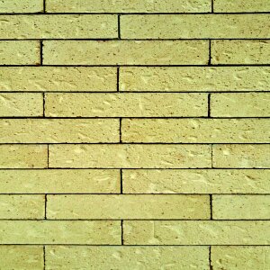 Brick wall maps wall