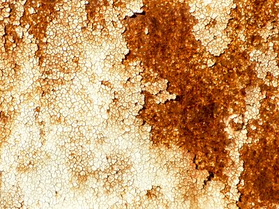Disk fence rot away alongside
