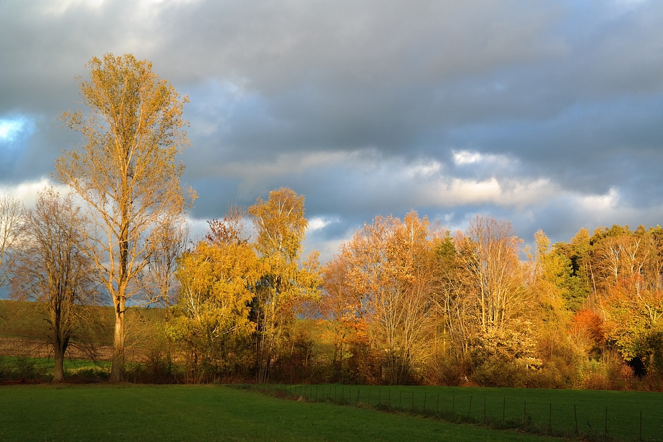 Idyll autumn light autumn