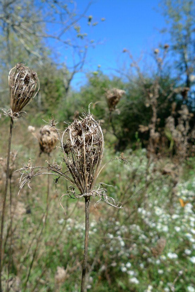 October outdoors natural