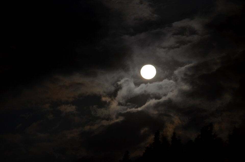 Moon night groza