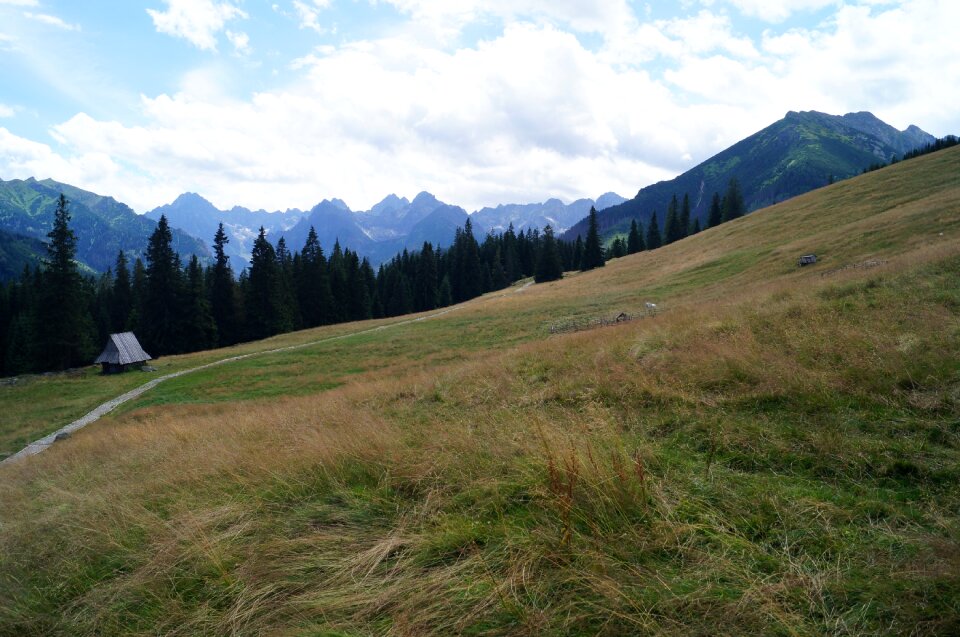 Nature mountains rusinowa logs