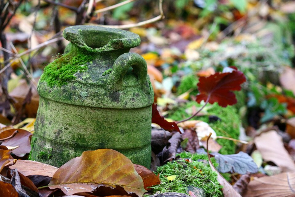 Garden decoration nature terracotta