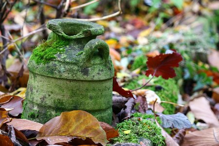 Garden decoration nature terracotta photo