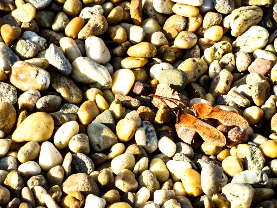Holidays autumn structure