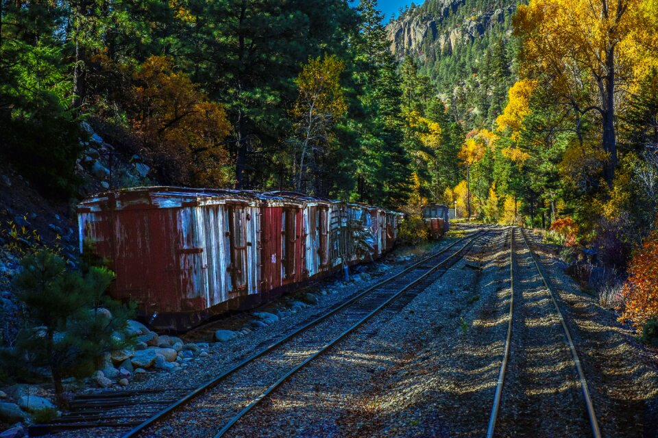 Narrow guage scenic