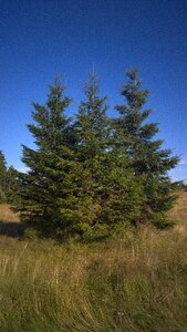 Threshing floor green sky