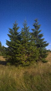 Threshing floor green sky photo