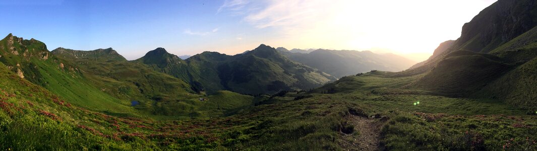Alm meadow saalbach