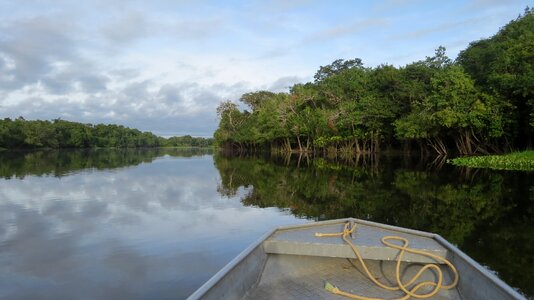 Nature boat jungle photo