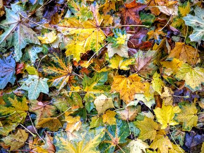 Color background wet