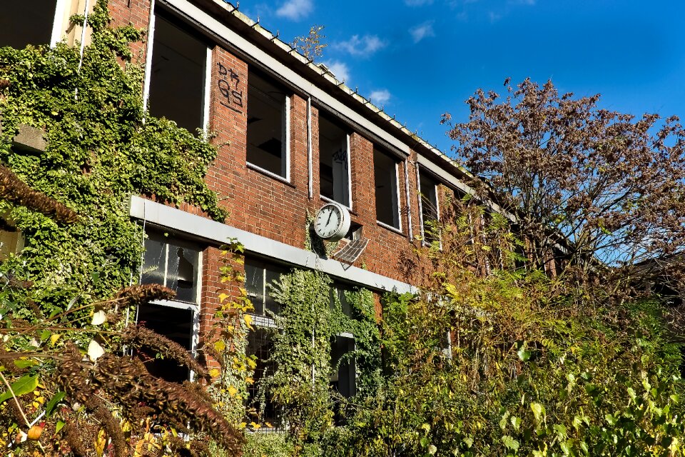 Abandoned industrial building lapsed