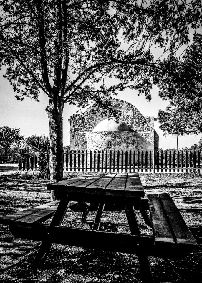 Picnic nature outdoor