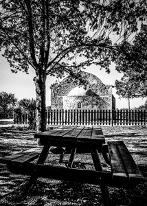 Picnic nature outdoor photo