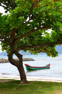 Boat mar tranquility
