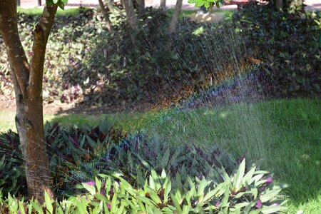 Rainbow water nature
