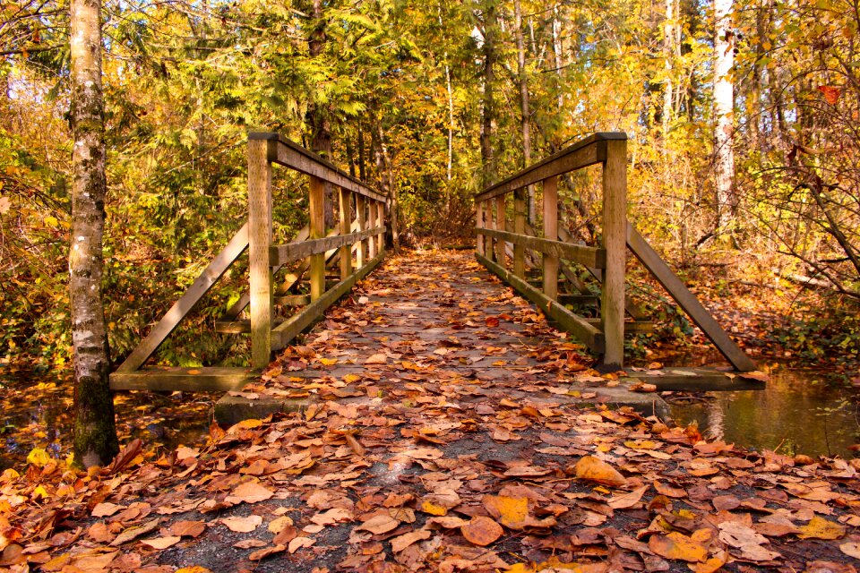 Landscape nature architecture