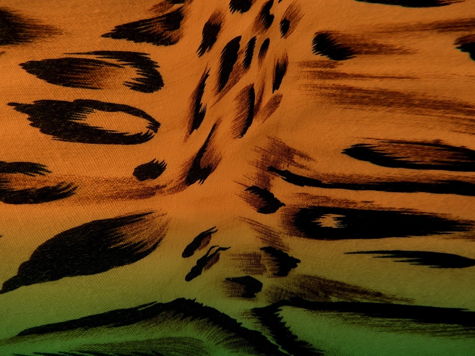 Pets cheetah pattern