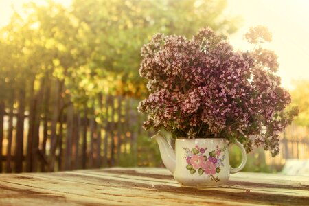 Summer marjoram bouquet